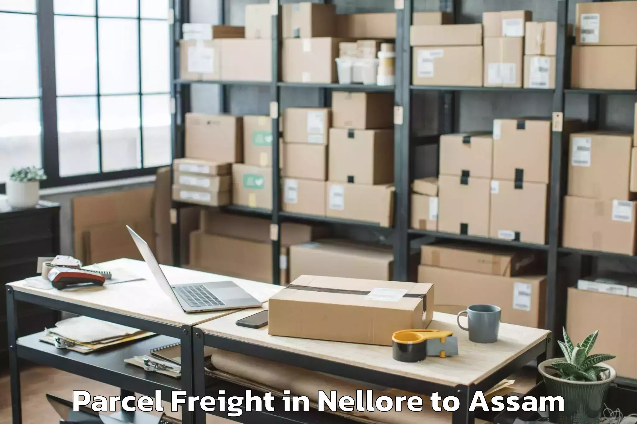 Book Nellore to Gossaigaon Pt Parcel Freight Online